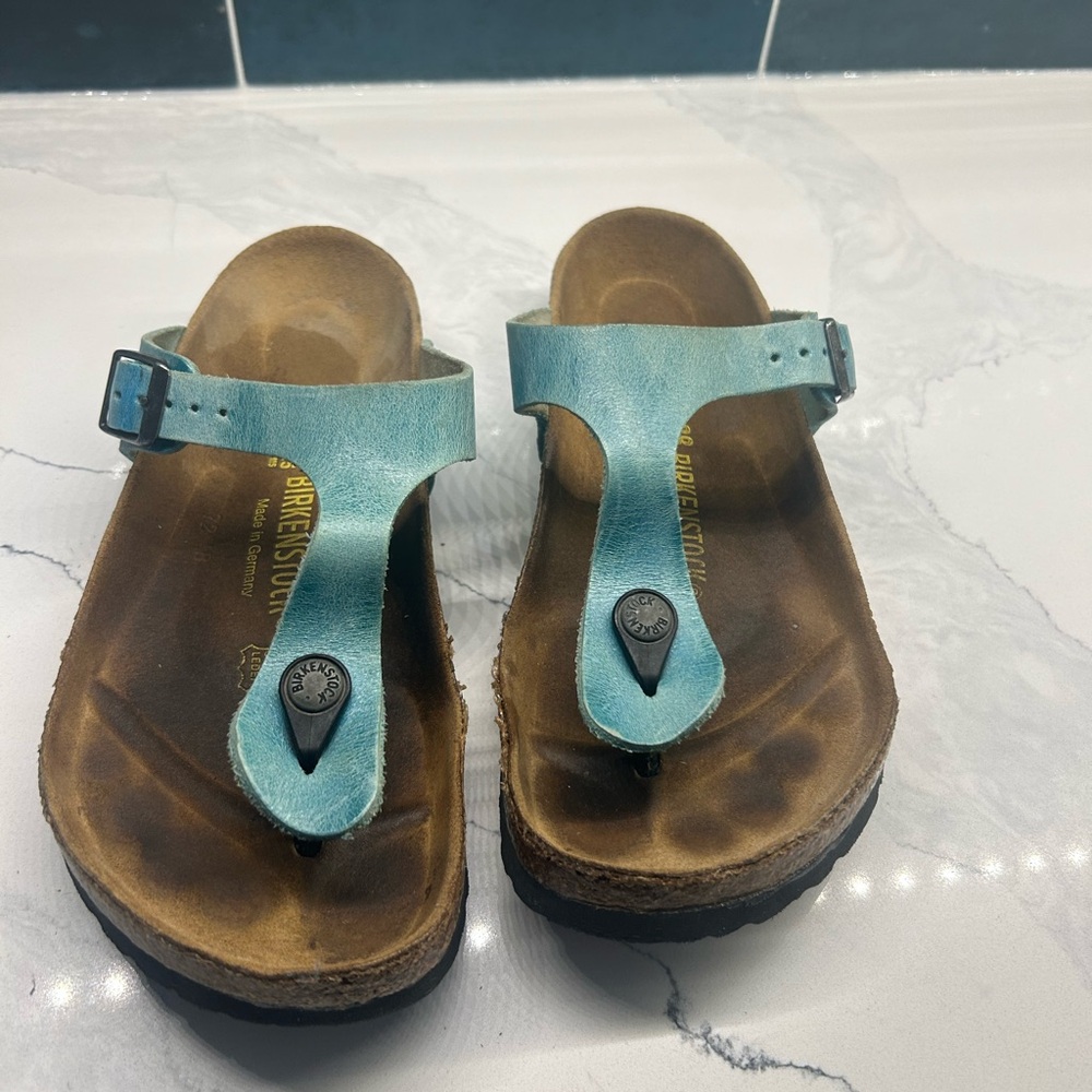 Birkenstock Blue and Brown Sandals